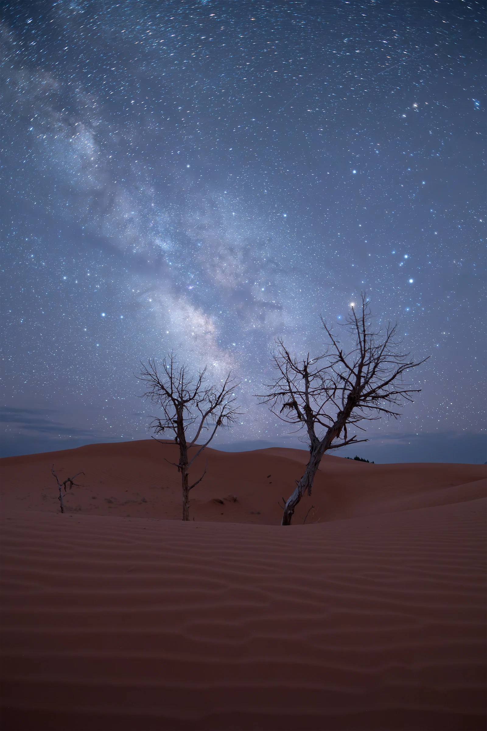 MilkyWay Rising — the Milky Way above sand dunes and desert trees