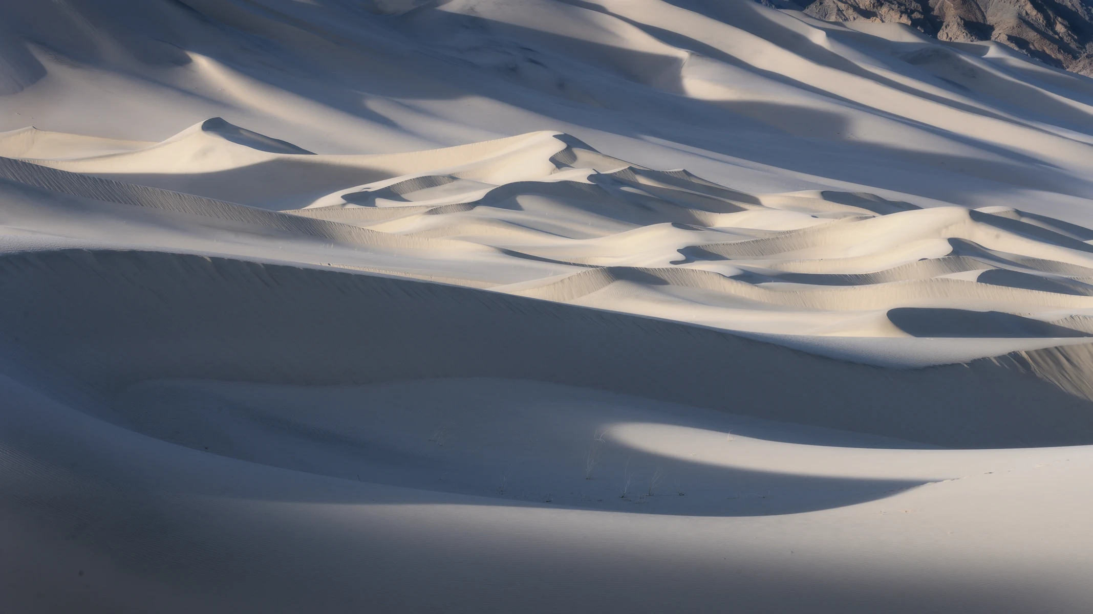 Overlapping sand dunes form sweeping curves and sharp ridges, with pale sunlit crests contrasting against blue-gray shadows, fine ripples on the slopes, and rocky terrain along the upper edge.