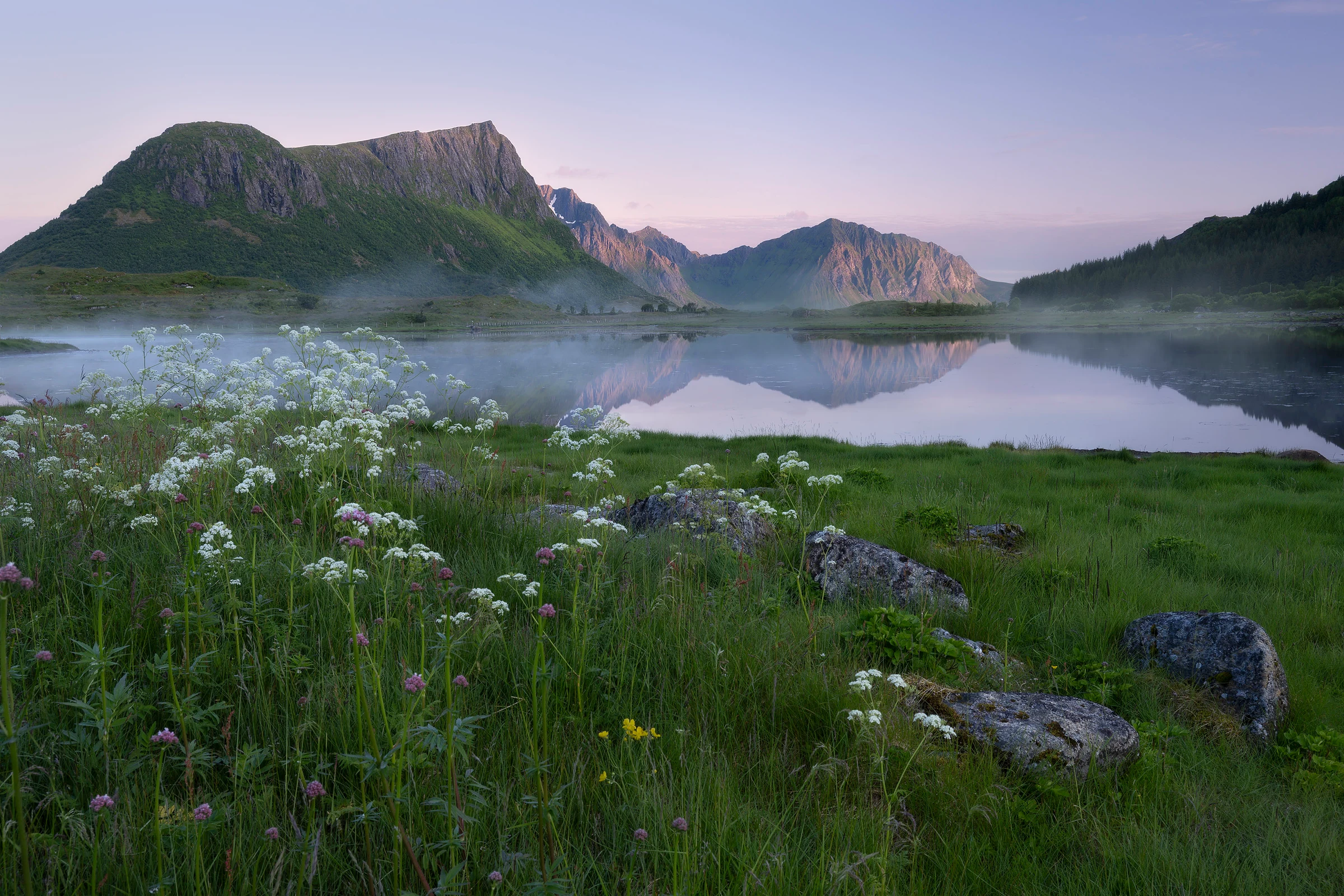 Flowers, greenery and an inlet from the ocean surround the tall mountain peaks in golden, sunset light