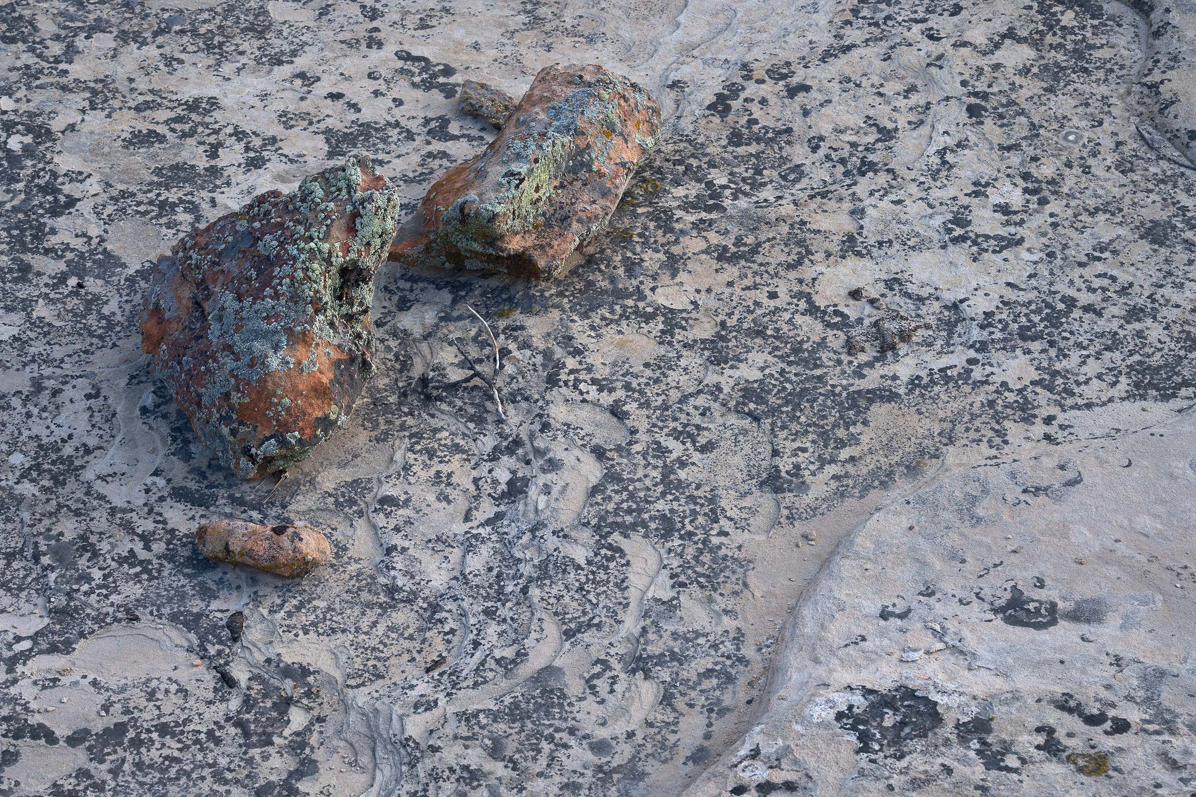 Two reddish-brown rocks crusted with pale green lichen rest on a broad gray rock surface mottled with dark patches and winding shallow grooves, with smaller stones scattered nearby.