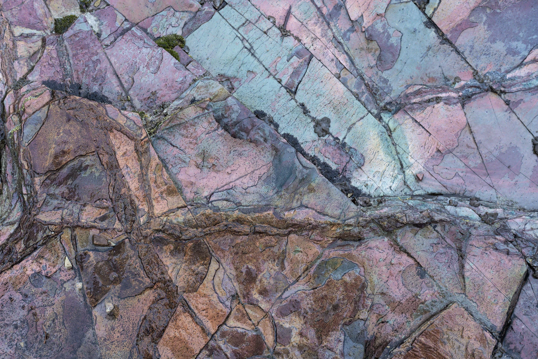 Colorful mineral patterns form an abstract detail in fractured rock.