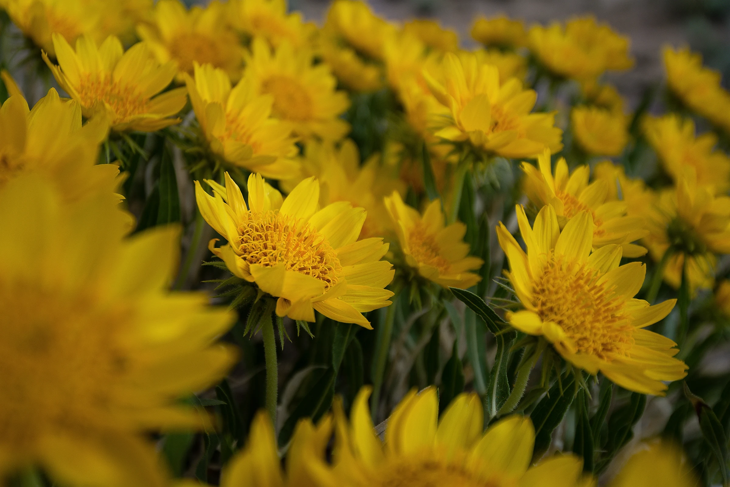 Explore the Best Selling Prints photography gallery