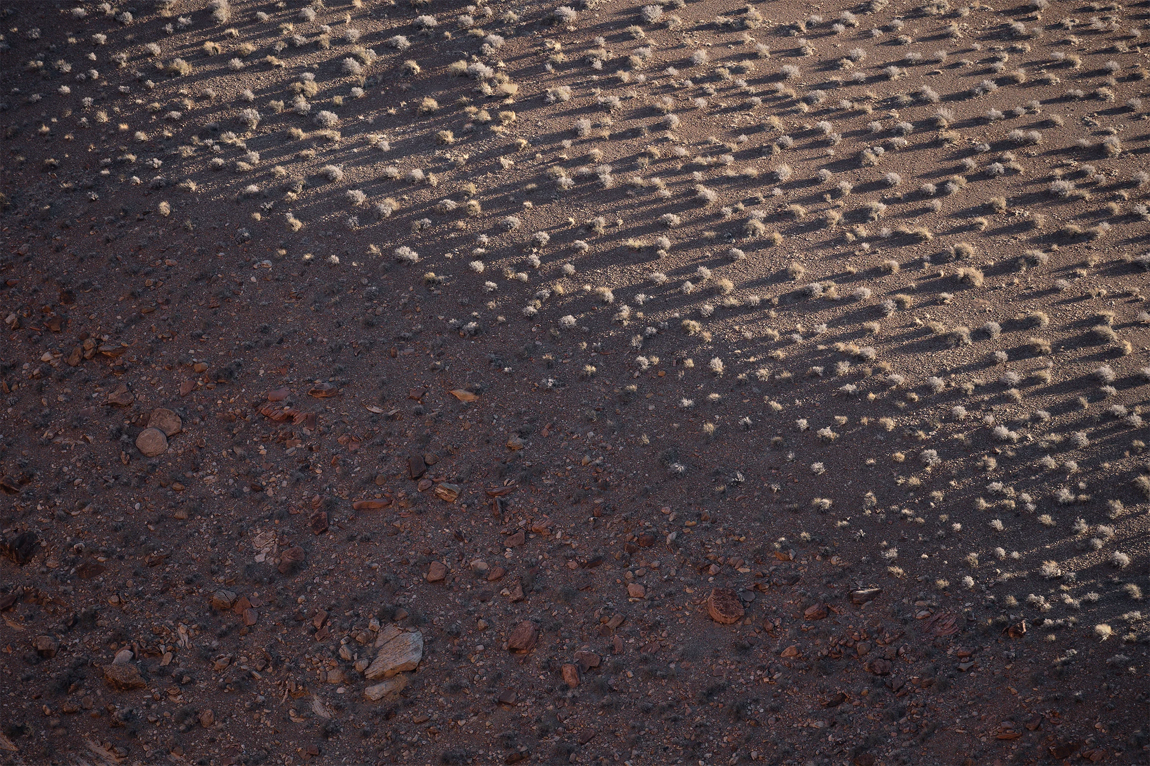 As I Was — an intimate fine-art nature photograph by Hunter Page