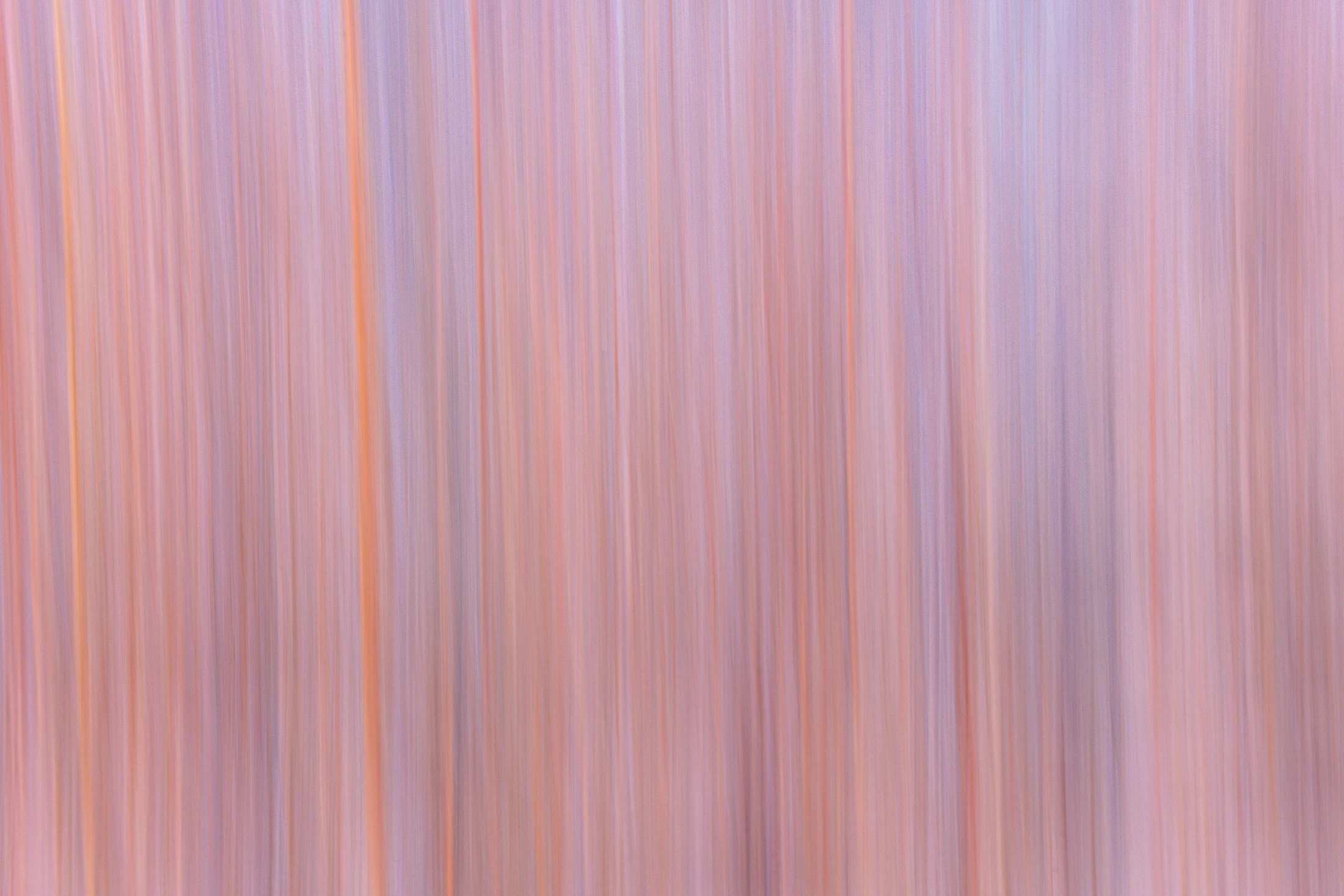 The Field — an intimate fine-art nature photograph by Hunter Page