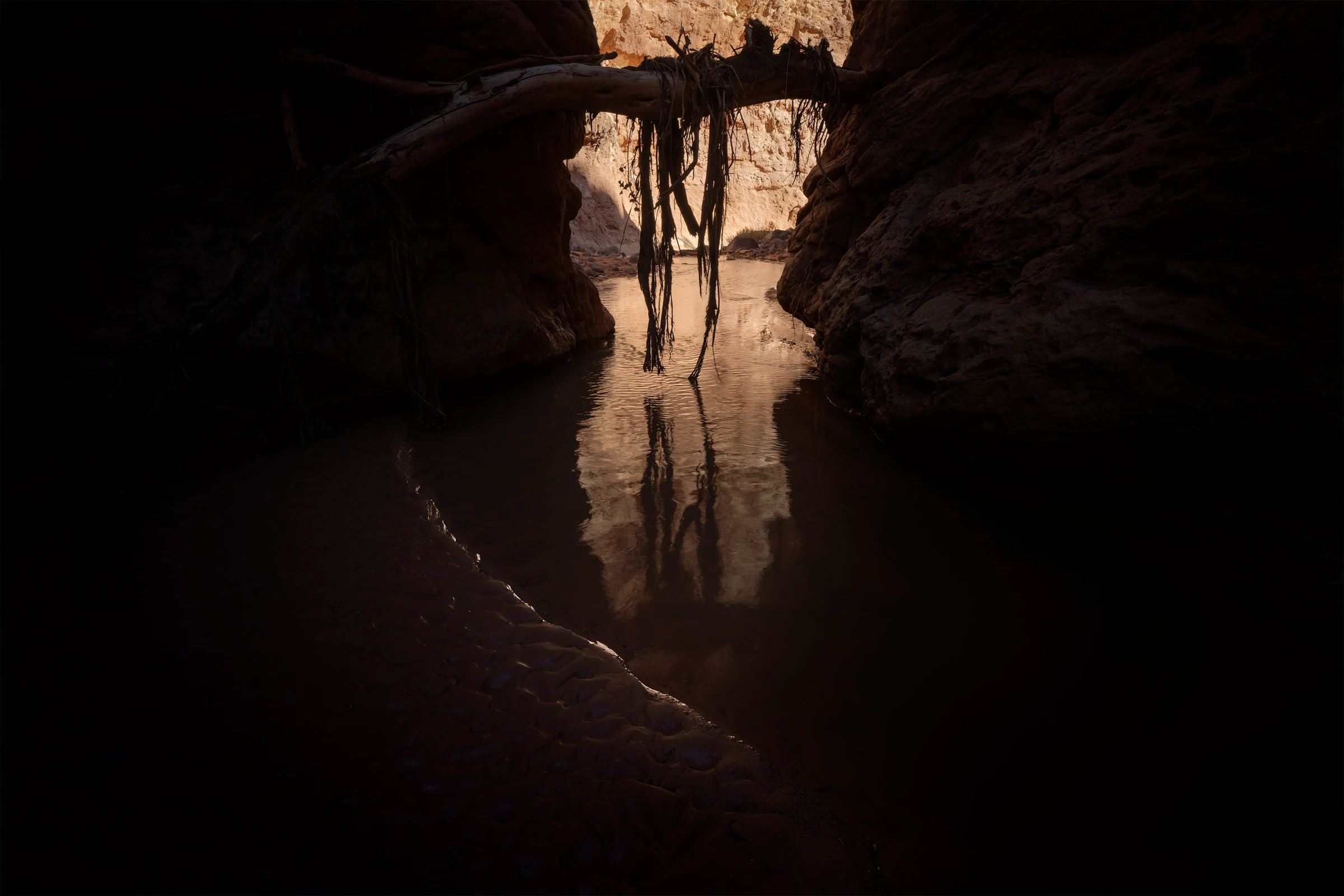 A fallen tree trunk spans a narrow, shadowed canyon, with strands of debris hanging above still water that reflects the sunlit orange rock walls beyond.
