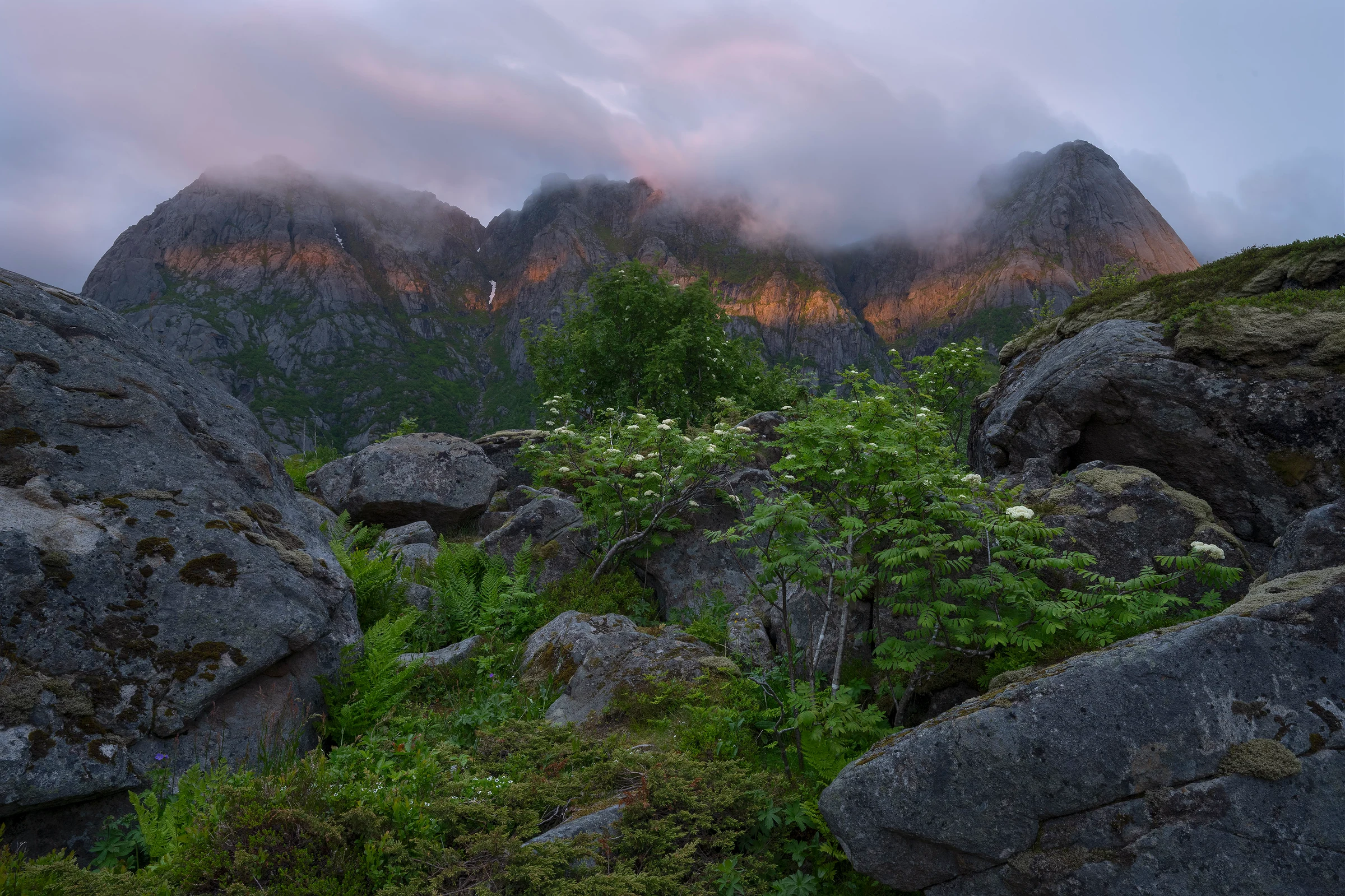 Dense boulders, trees and flowers condensed at the bottom of a large mountain consumed in clouds