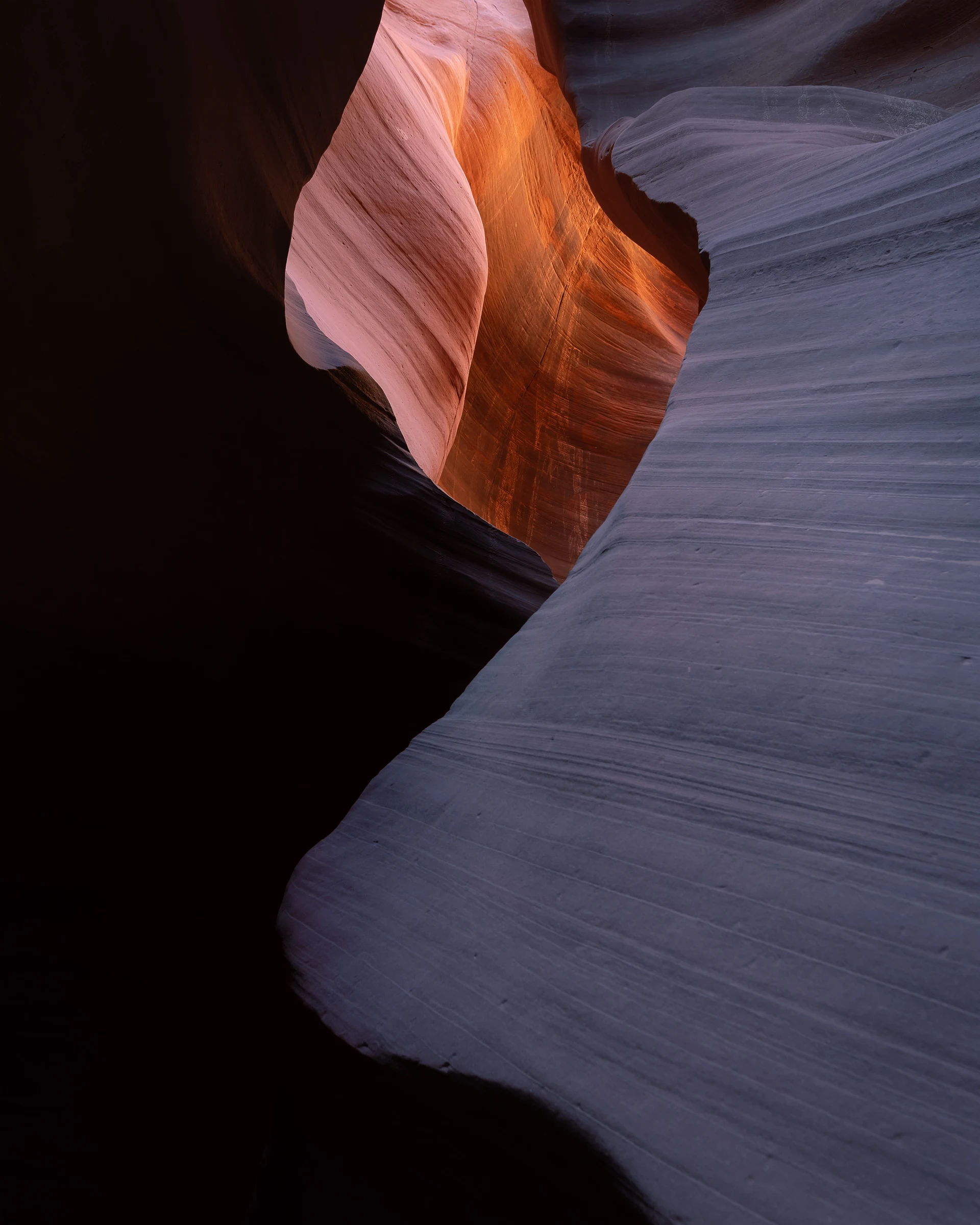 Curving sandstone walls frame a narrow slot canyon, with pink and orange light on the inner rock contrasting with deep shadows and a broad, finely striated purple-gray wall in the foreground.