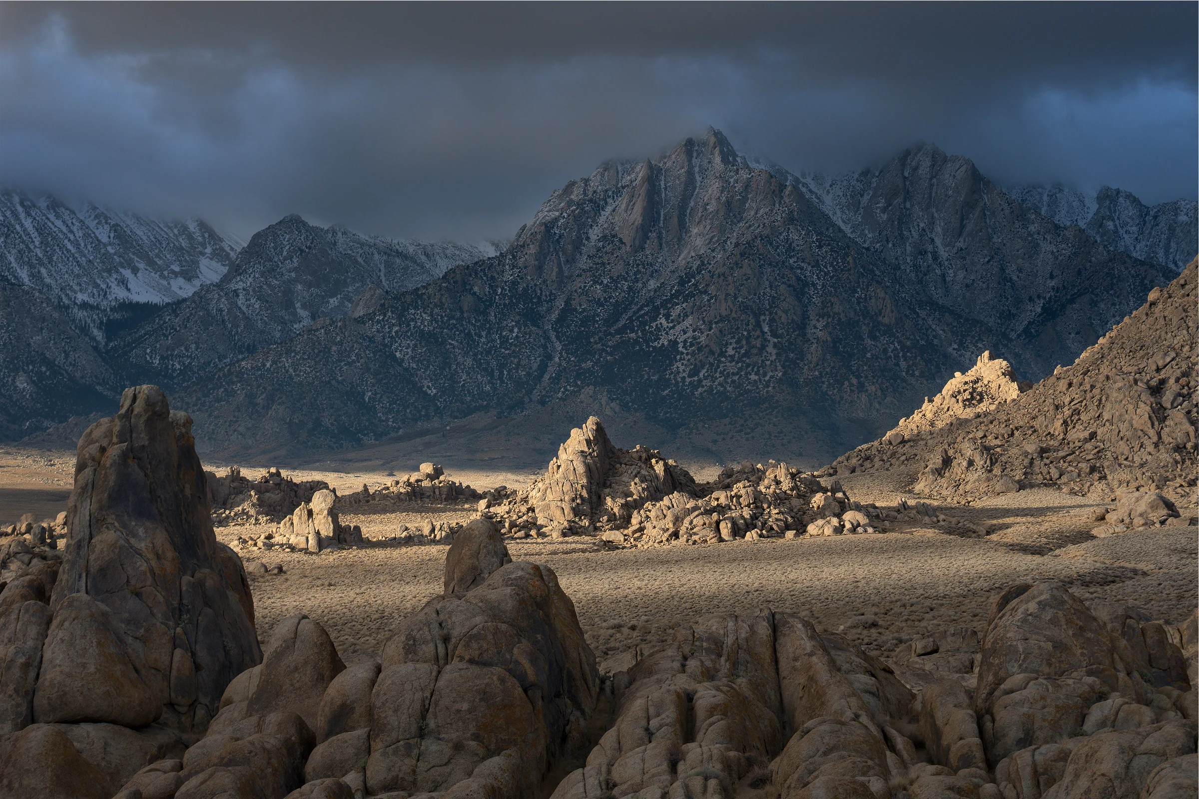 Explore the New Releases photography gallery