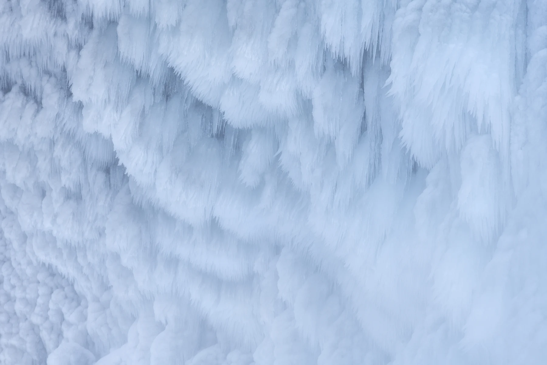 Dense layers of pale blue and white ice cover a vertical surface, with slender icicles hanging beneath rounded, feathery formations and soft blue shadows defining the overlapping ridges.