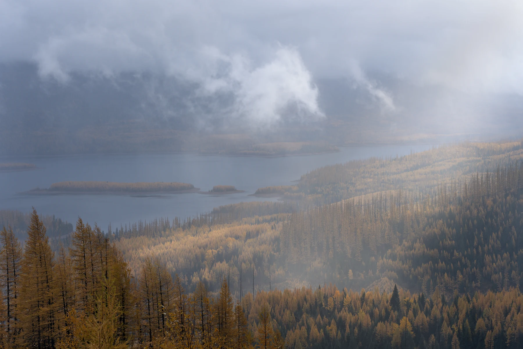 A quiet lake bordered by a natural shoreline.