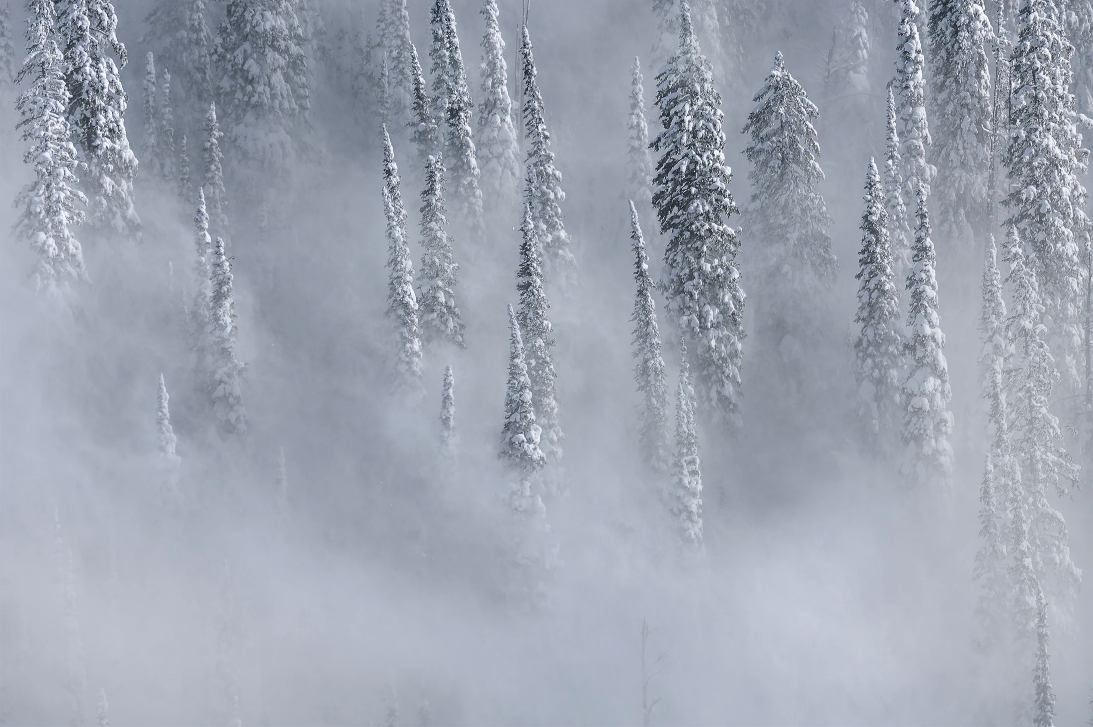 Winter Atmosphere — winter photography from Bryce Canyon