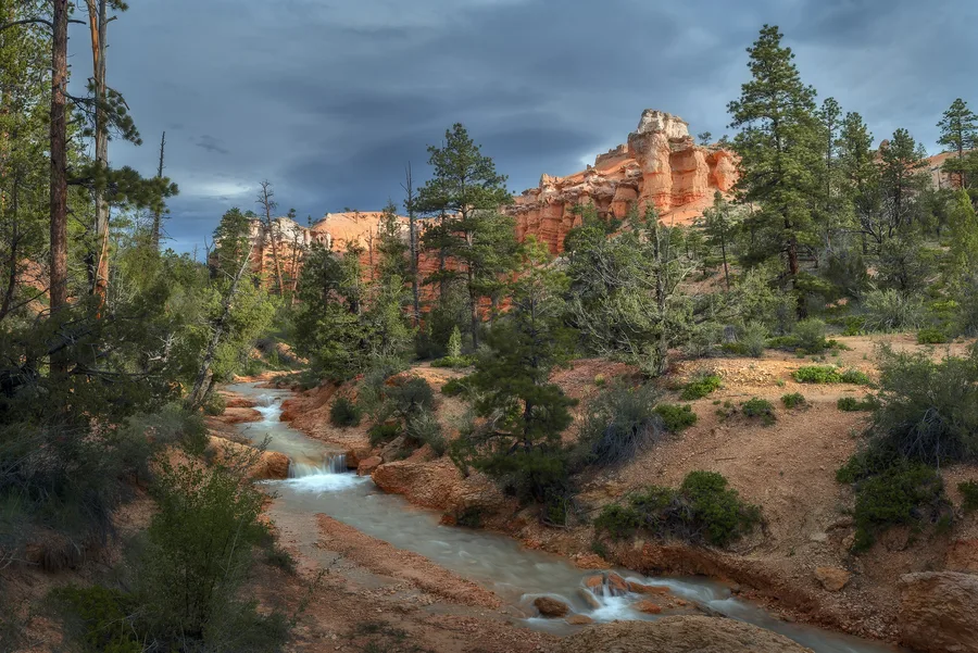 Clear stream flowing through red rock and green desert trees.