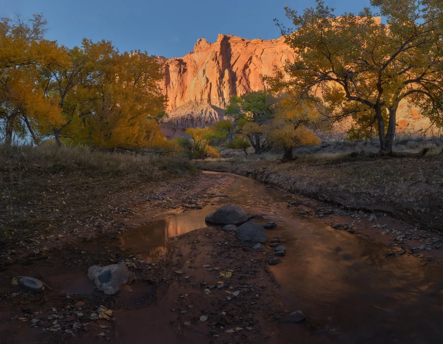 A shallow creek winds around rocks between trees with golden leaves, reflecting orange cliffs that rise in sunlight behind the shaded banks beneath a clear blue sky.