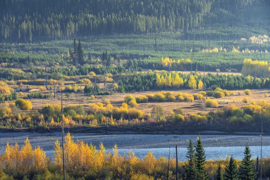 A quiet lake bordered by a natural shoreline.