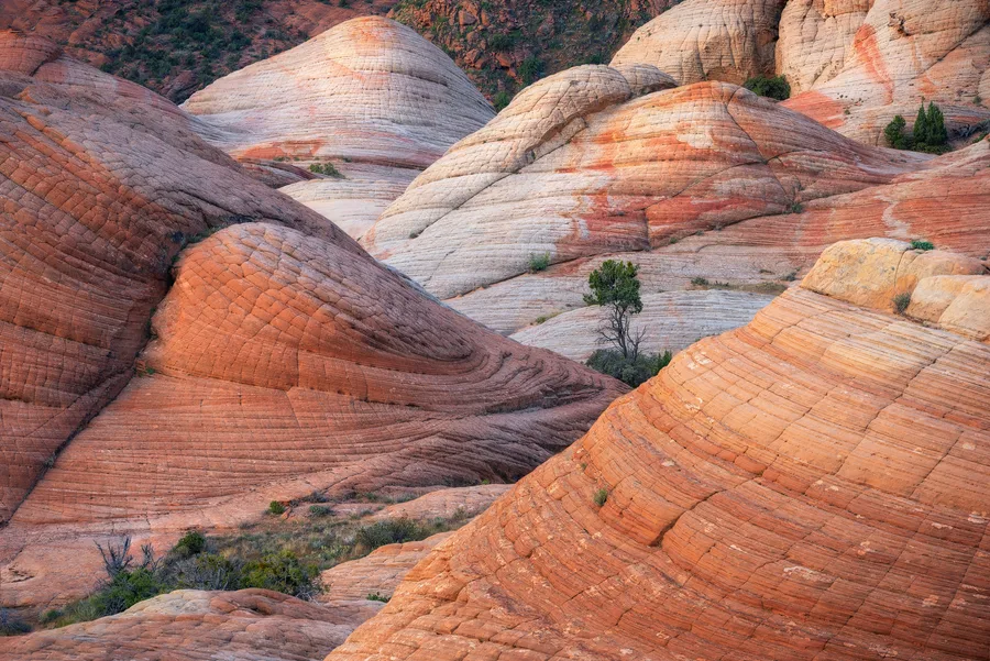 Striped orange sandstone mounds with smooth curved patterns.