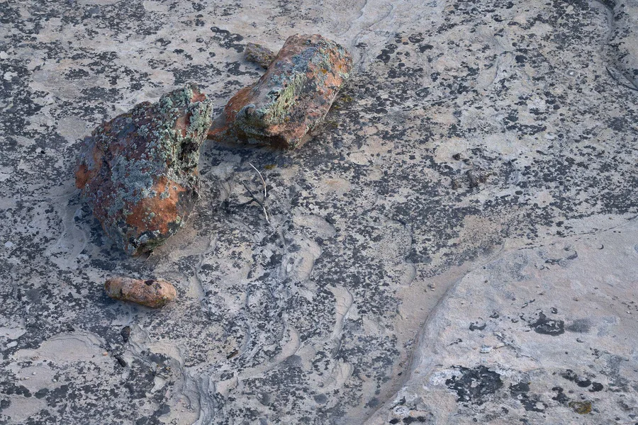 Two reddish-brown rocks crusted with pale green lichen rest on a broad gray rock surface mottled with dark patches and winding shallow grooves, with smaller stones scattered nearby.