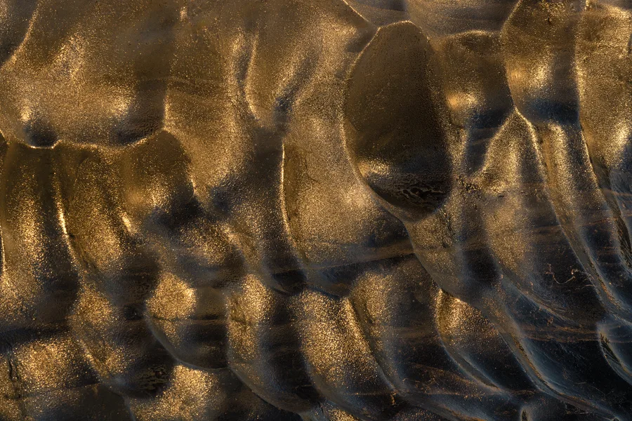 Golden translucent ice detail with rounded abstract shapes.