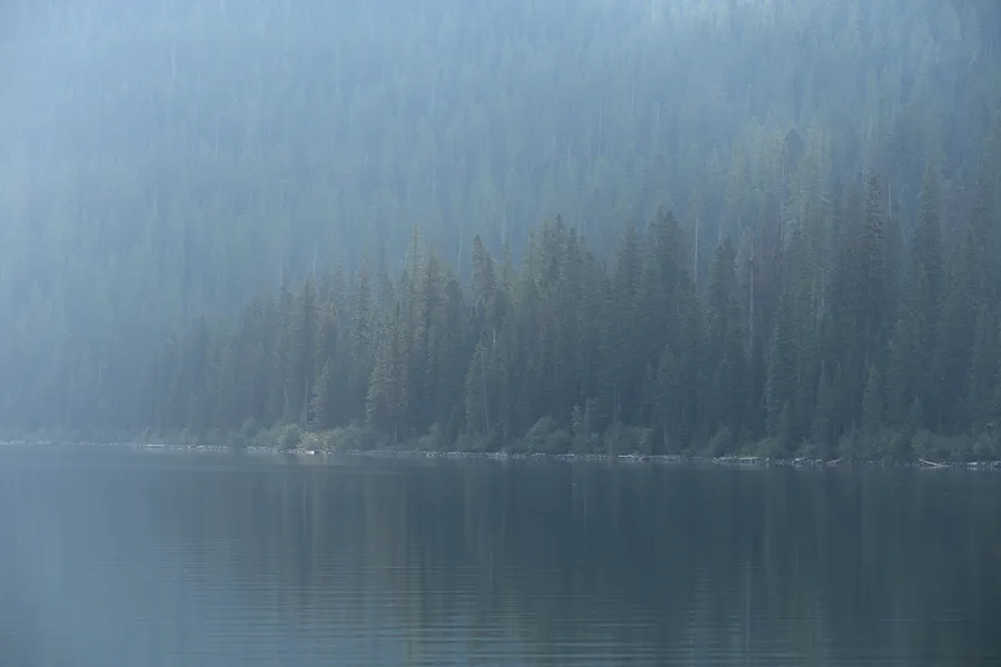 A quiet lake bordered by forest and trees.