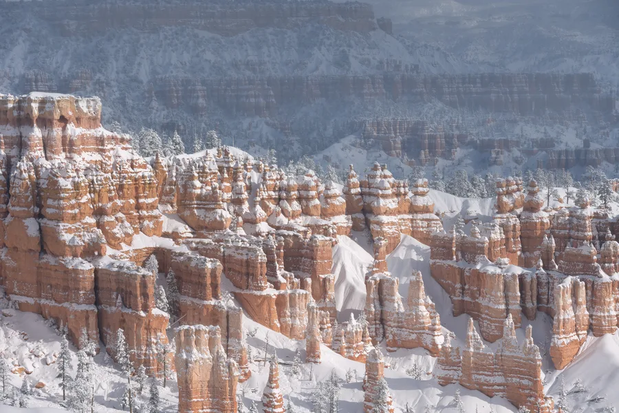 Snow blankets orange rock spires and layered cliffs across a deep canyon, with scattered evergreen trees among the formations and sunlit foreground towers standing against a hazy, shaded canyon wall.