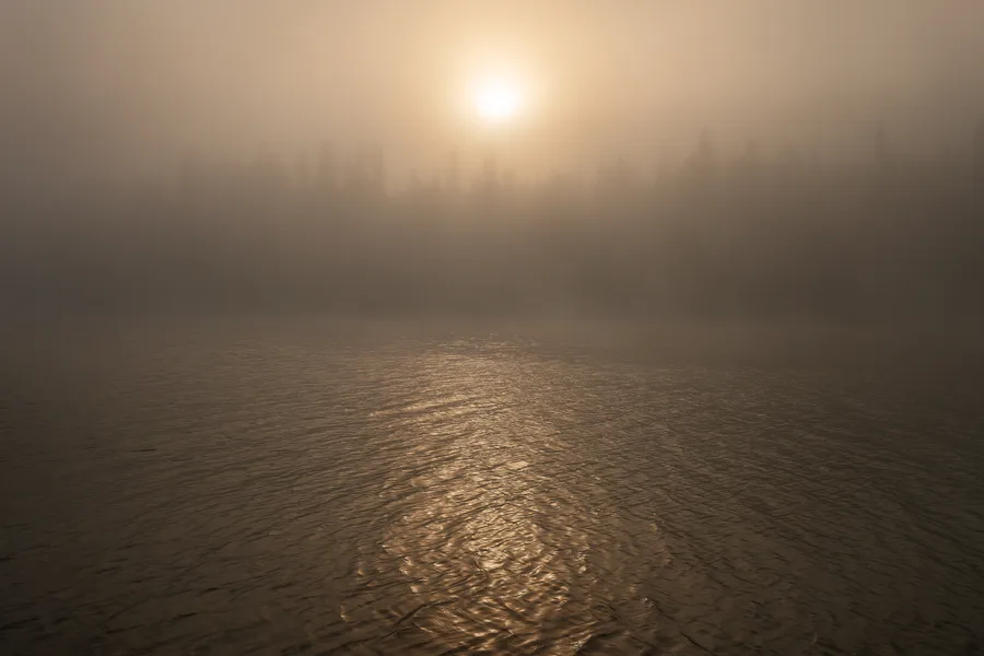 Soft sunlight glows through fog and reflects across calm water.