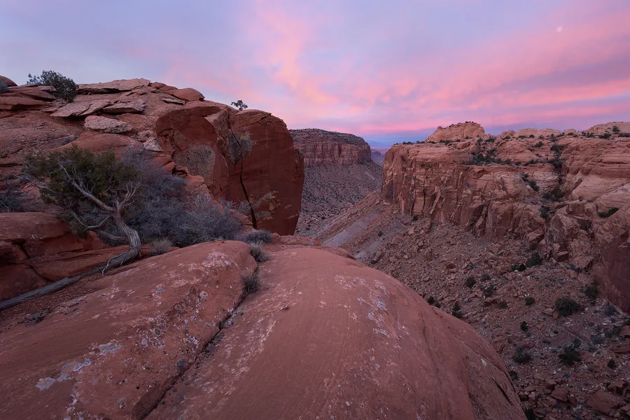 Red sandstone canyon overlook beneath a pink clouded sky.