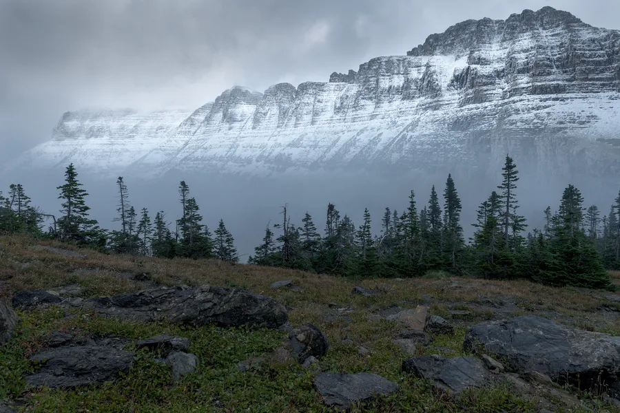 Foggy mountain wall above dark evergreen forest.