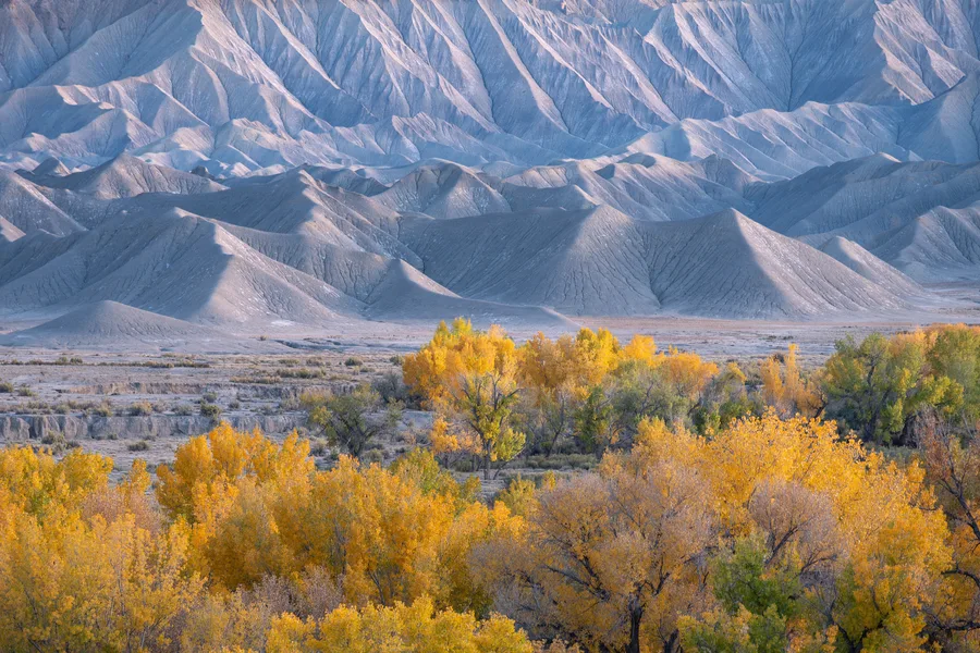 Trees with golden yellow foliage fill the foreground beneath layered blue-gray hills, where deeply eroded grooves and alternating sunlit ridges and shaded slopes form repeating patterns across the background.