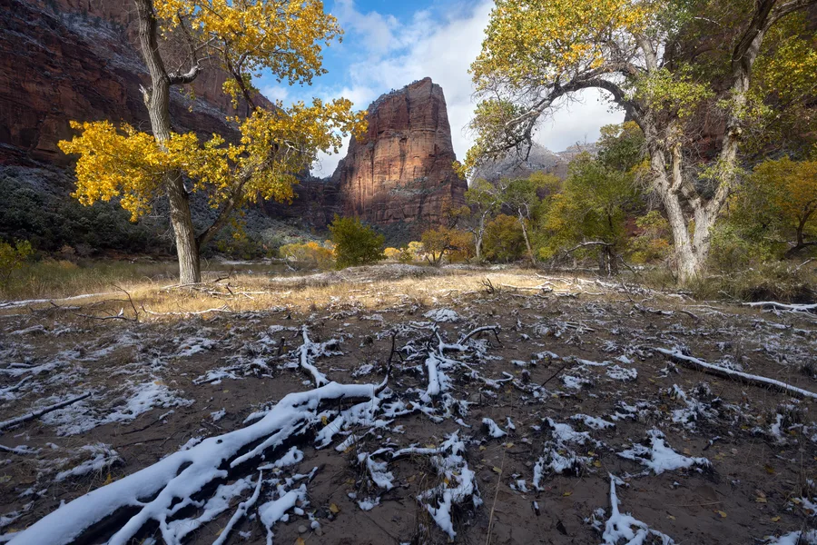 Golden foliage blurs beside a blue mountain river.