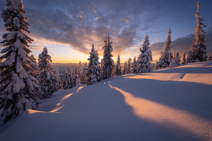 Snowy forest at sunset with orange and blue light.
