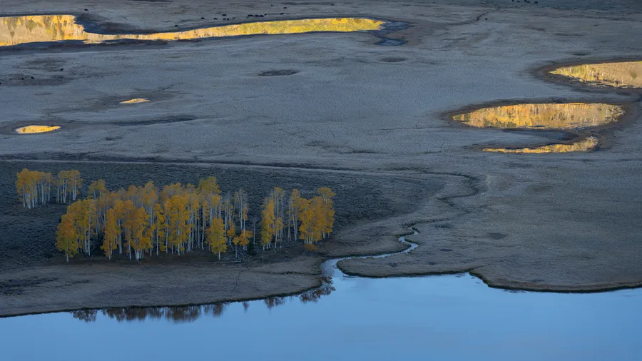 Minimal water reflection with blue sky and golden trees.
