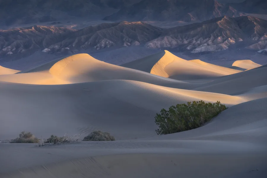 First light illuminates uniquely shaped sand dunes as the background mountains are in shadow