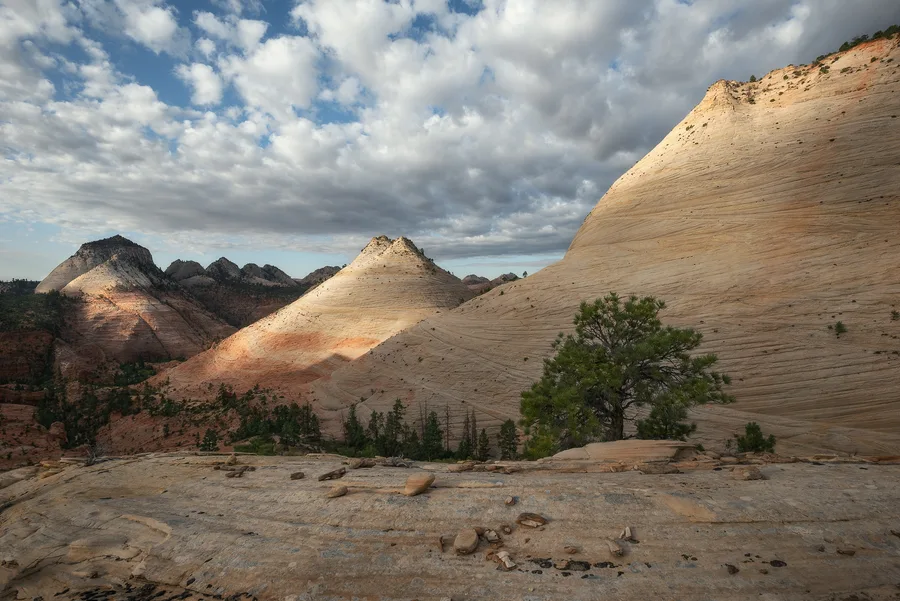 White sandstone cliffs and desert trees below a cloudy sky.