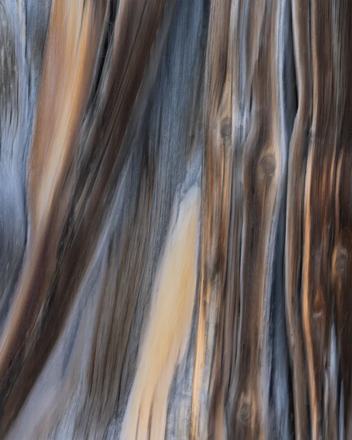 A close-up of weathered wood fills the frame with flowing vertical grain, scattered knots, and deep grooves in softly blurred bands of gray, brown, and pale gold.