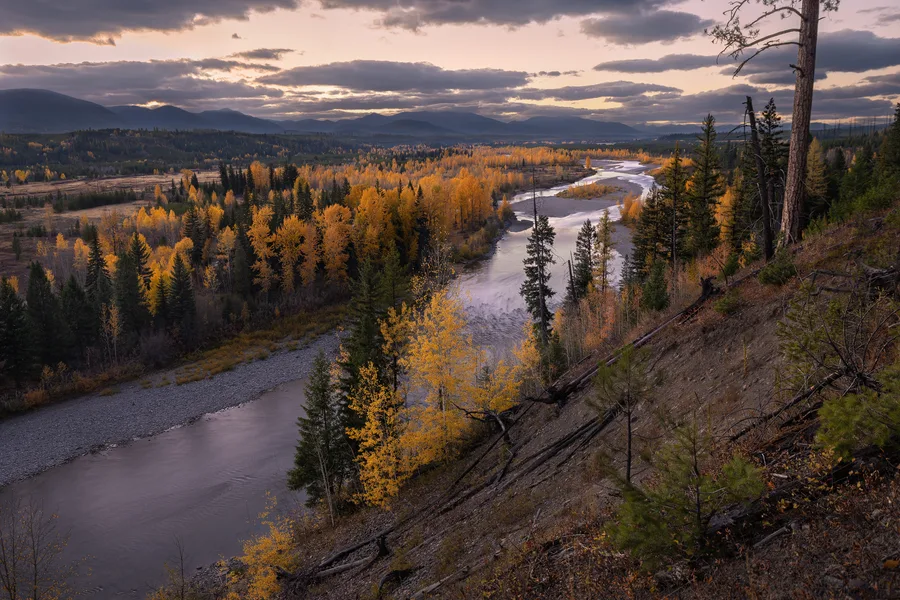 A quiet lake bordered by a natural shoreline.