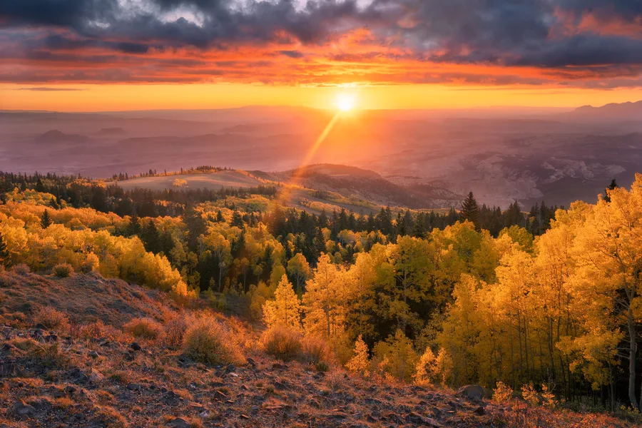 Golden autumn hillside beneath a dramatic orange sunset.