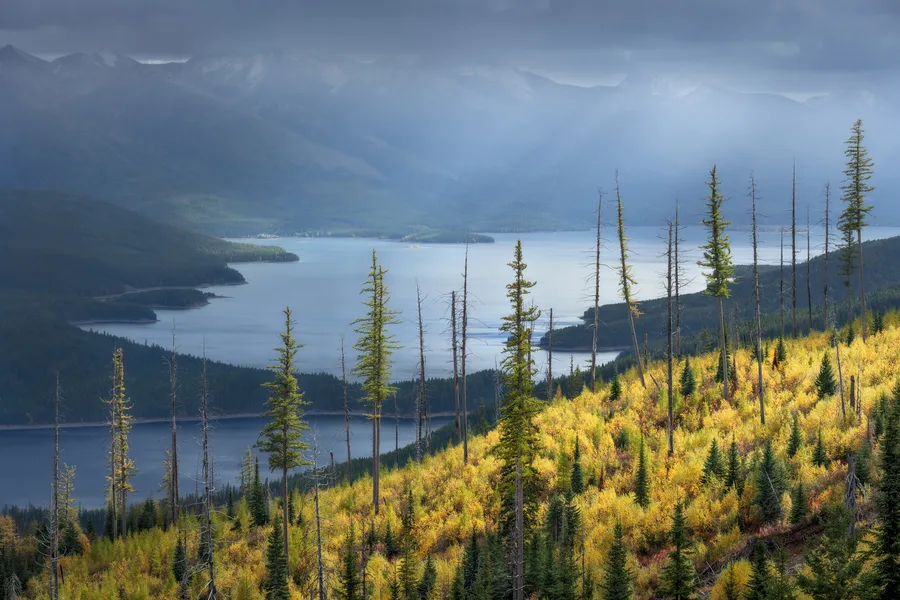 A quiet lake bordered by a natural shoreline.