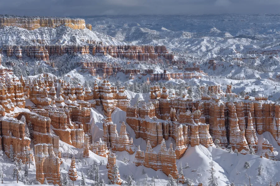 Snow blankets orange rock spires and layered cliffs across a vast canyon, with scattered evergreen trees among the formations and distant ridges fading beneath dark gray clouds.
