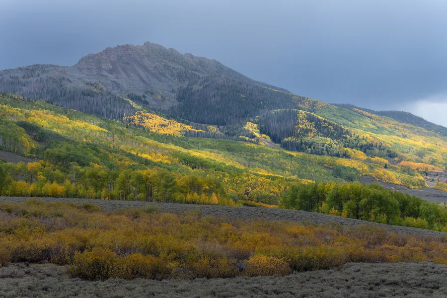 Misty mountain slope with autumn aspen and green forest.