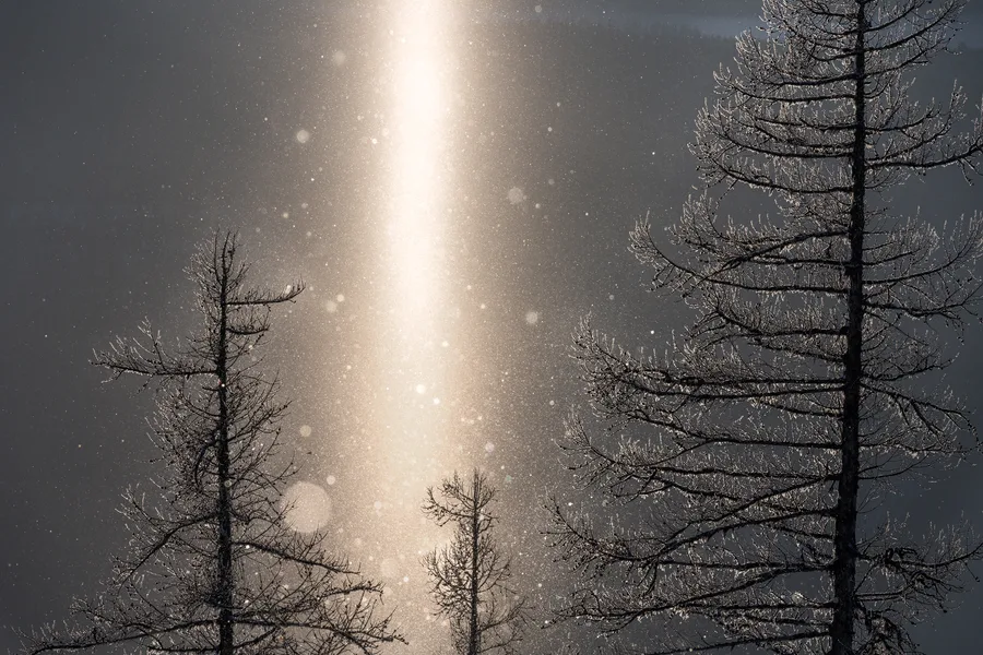 A bright sun pillar rises through a snowy forest beneath a dark sky.