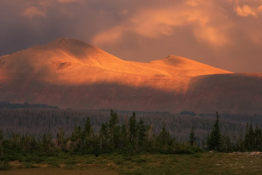 Golden light breaking over distant mountains and forest.