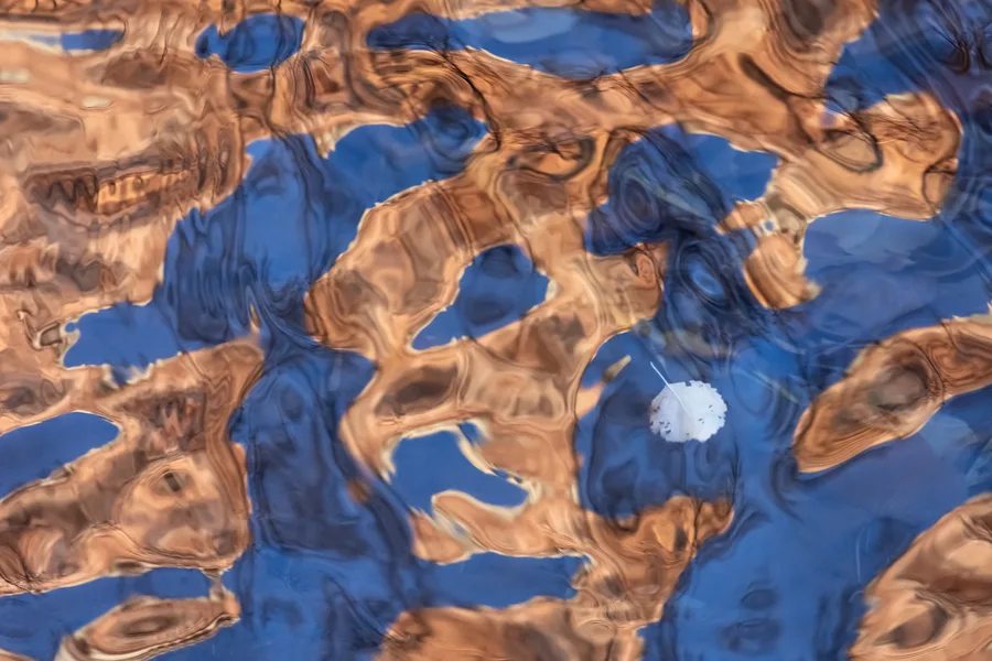 A small pale leaf floats on rippling water near the lower right, surrounded by broad blue patches and copper-colored reflections stretched into swirling, irregular shapes.