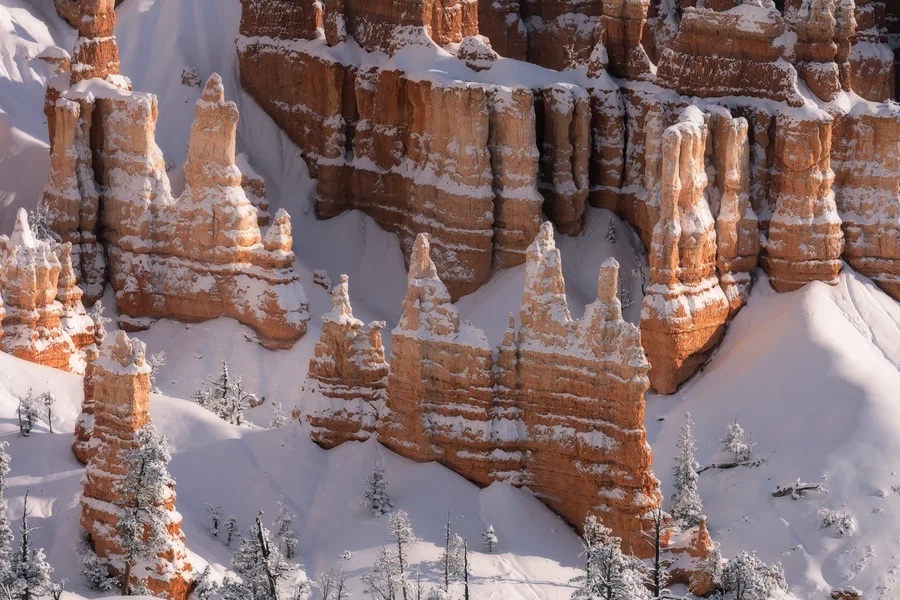 Snow blankets the ledges and slopes between tall orange rock spires, with scattered snow-coated evergreens below and sunlight revealing layered stone against deeply shadowed crevices.