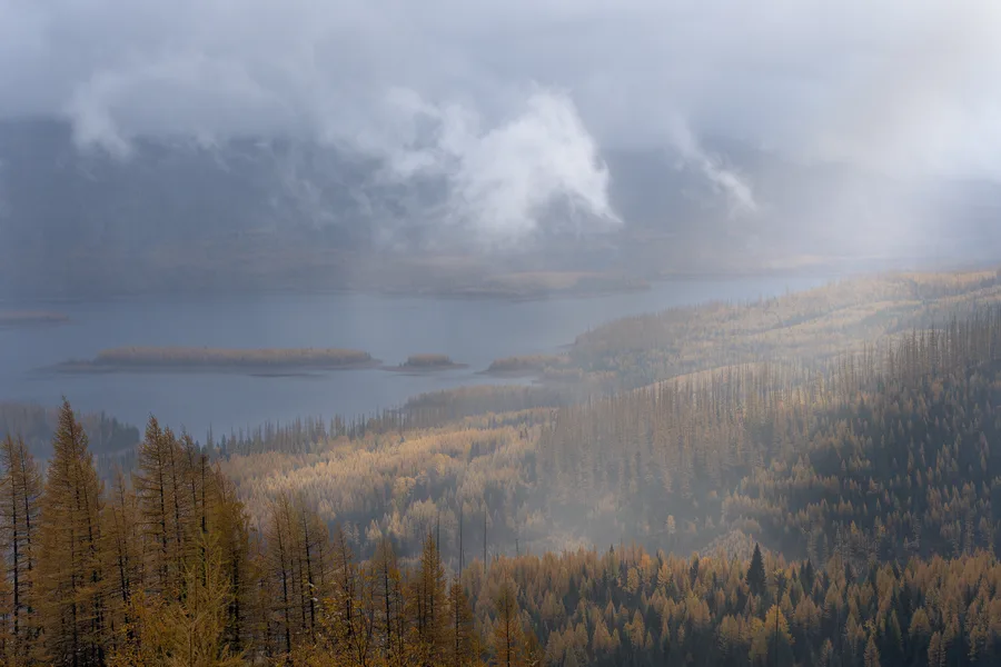 A quiet lake bordered by a natural shoreline.
