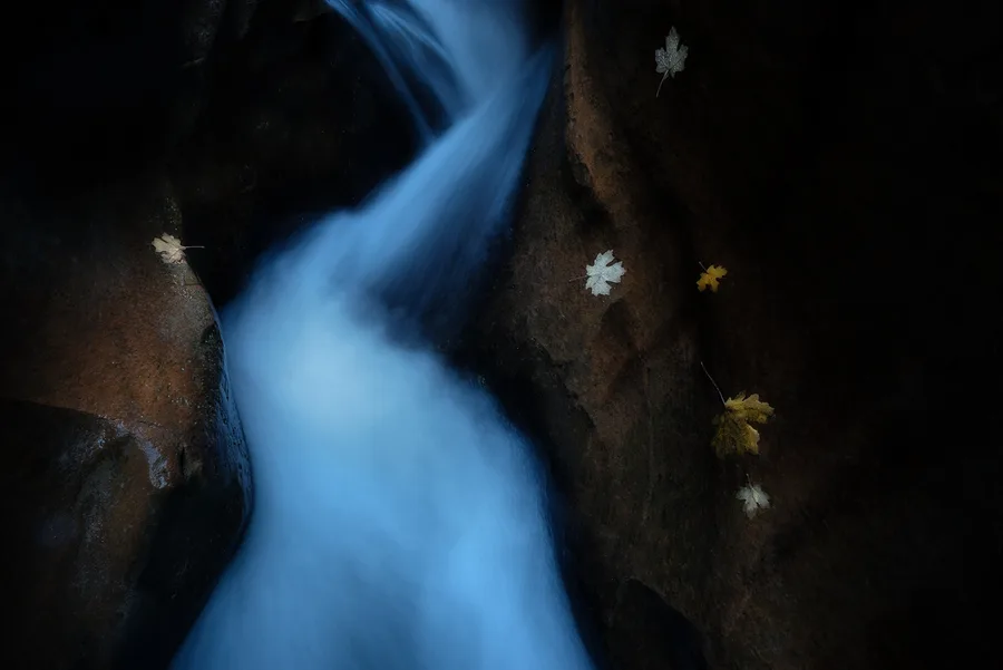Blue water rushing through a dark slot canyon with scattered leaves.