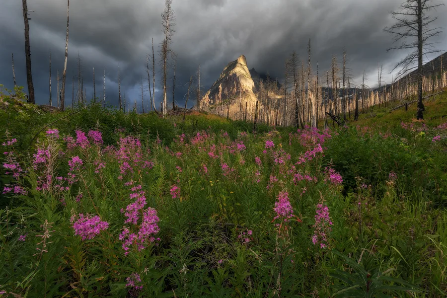 Sunlit mountains rise beneath a cloudy sky.