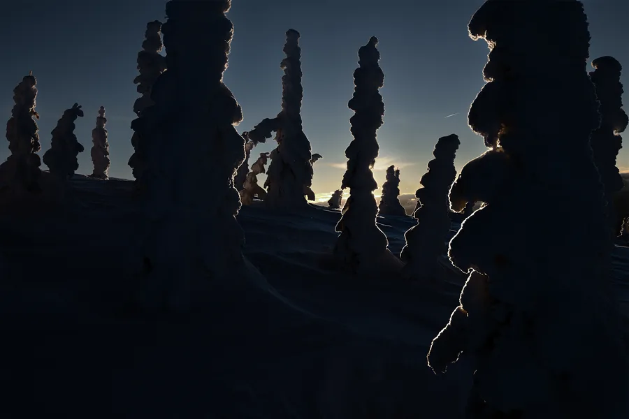 Dark snow ghost silhouettes against a bright winter horizon.